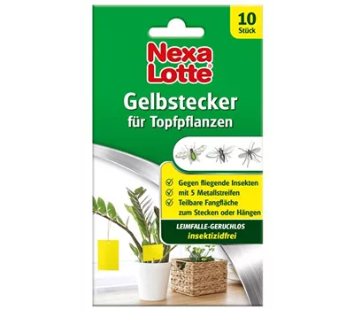 Nexa-Lotte Gelbstecker
