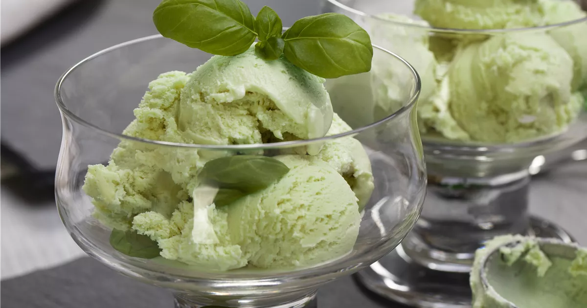 Zitronensorbet mit Basilikum &amp;quot;Von hier&amp;quot; - GartenBaumschule Becker