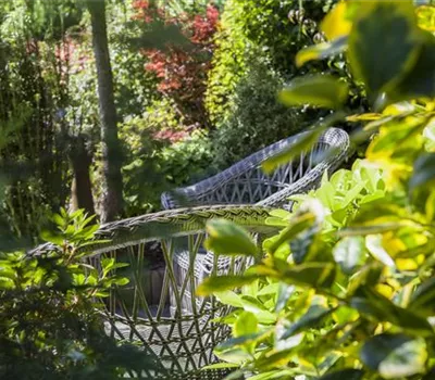 Die grüne Oase: die Terrasse in einen Garten verwandeln