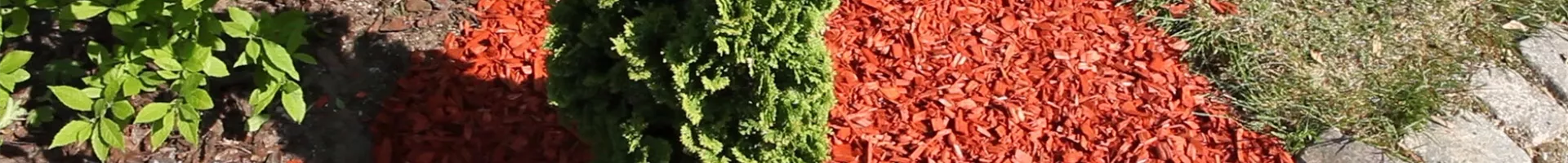 Mulch - Einsatz im Garten (thumbnail).jpg