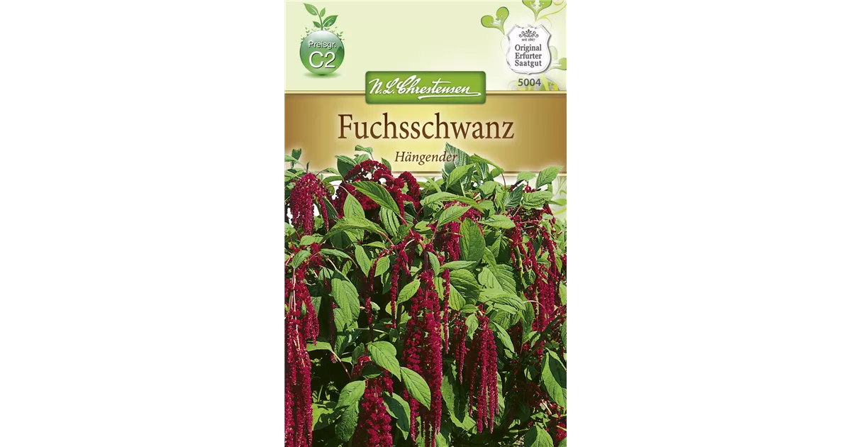 Amaranthus caudatus 200 Samen Hängender Fuchsschwanz 
