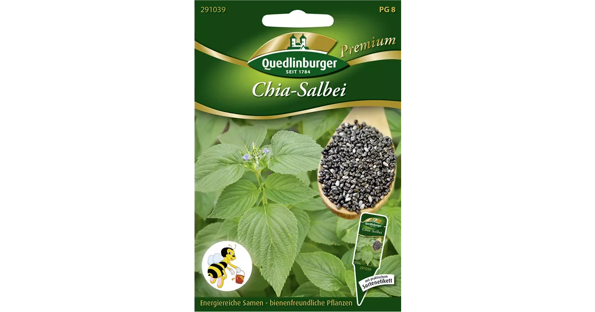 Mexikanische ChiaSamen, Salvia hispanica GartenBaumschule Becker