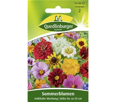 Halbhohe Sommerblumen-Samen