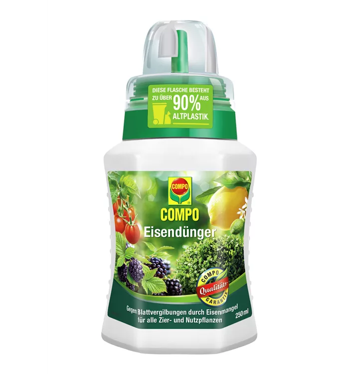 Compo EisenDünger flüssig GartenBaumschule Becker