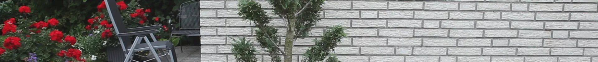 Zypresse - Einpflanzen im Garten (thumbnail).jpg