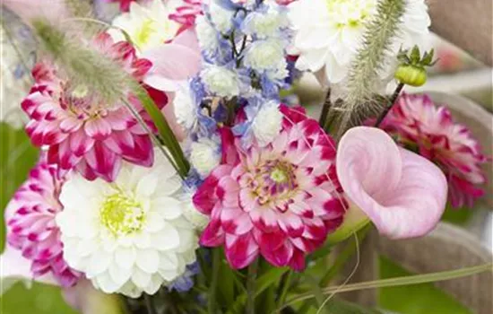 Beauty-Kur für den Blumenstrauß: Pülverchen und Hausmittel
