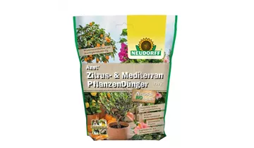 Bildvorschau
