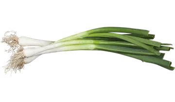 Bildvorschau