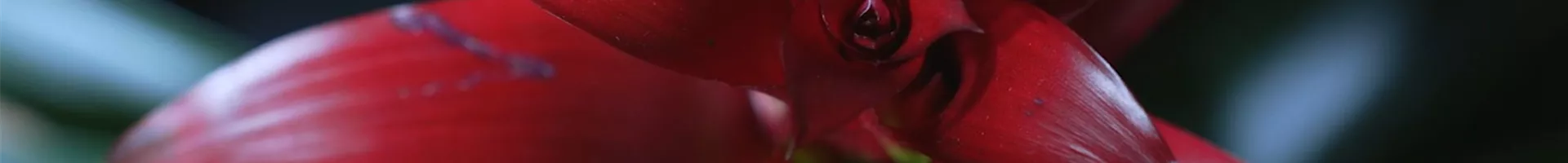 Ashampoo_Snap_Dienstag, 21. Juni 2022_09h03m06s_001_.jpg