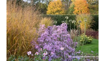 Gartenbaumschule Becker