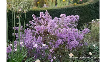 Gartenbaumschule Becker