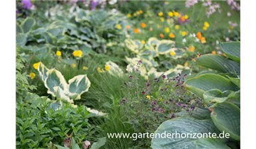 Gartenbaumschule Becker