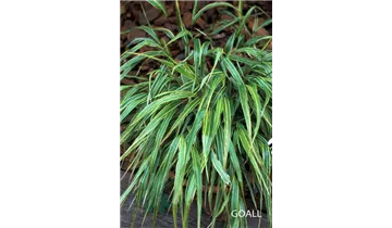 Gartenbaumschule Becker