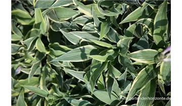 Gartenbaumschule Becker