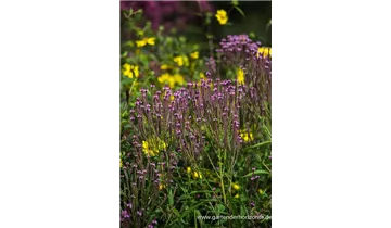 Gartenbaumschule Becker