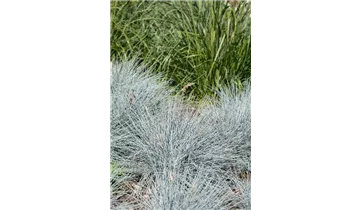 Gartenbaumschule Becker