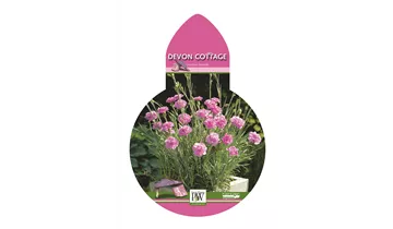 Gartenbaumschule Becker