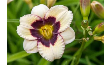 Gartenbaumschule Becker