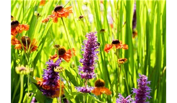 Gartenbaumschule Becker