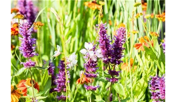 Gartenbaumschule Becker