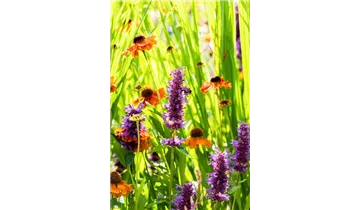 Gartenbaumschule Becker