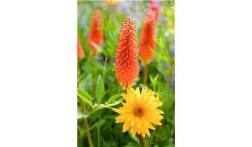 Gartenbaumschule Becker