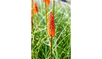 Gartenbaumschule Becker