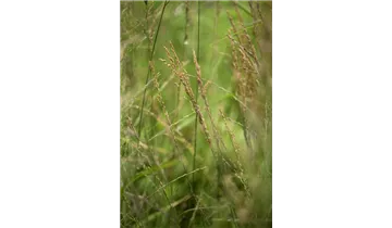 Gartenbaumschule Becker
