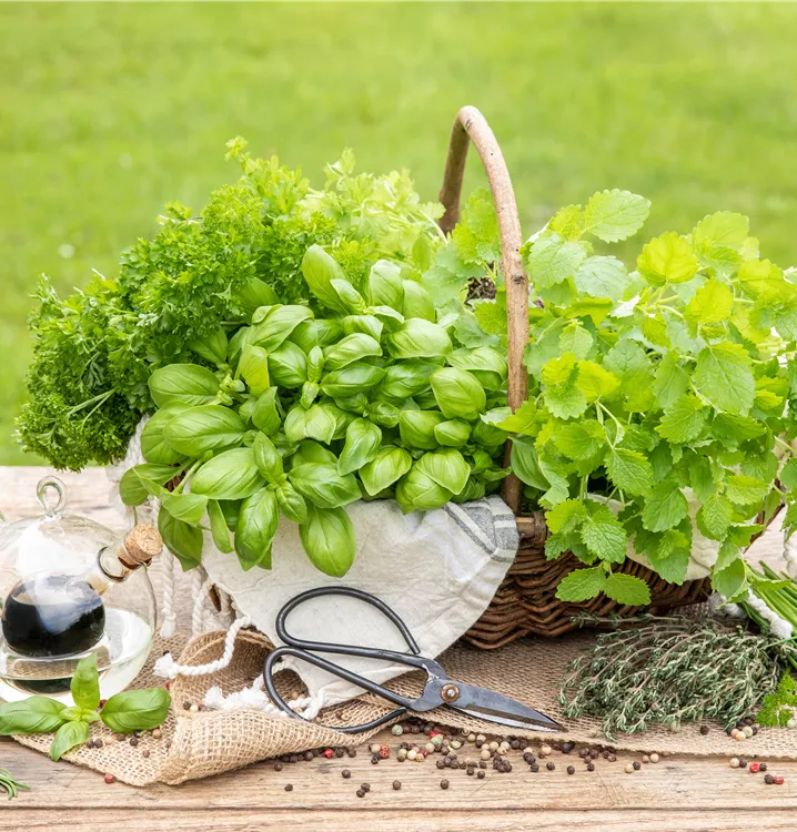 Samstag, 09.05.2026 14.30 - 16.30 Uhr