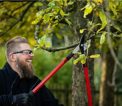 Gehölzschnittseminar Obstgehölze