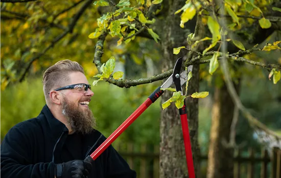 Gehölzschnittseminar Obstgehölze