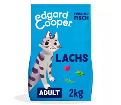 Frischer Lachs