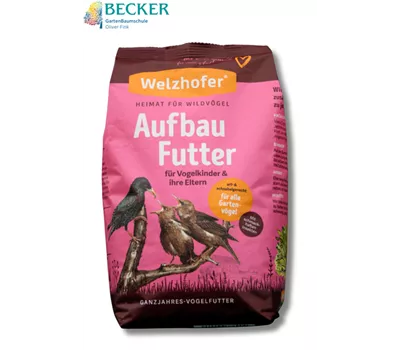Aufbaufutter