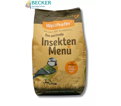 Insekten Menü