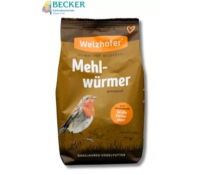 Mehlwürmer