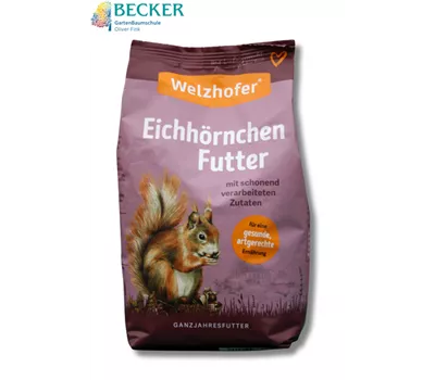 Eichhörnchenfutter