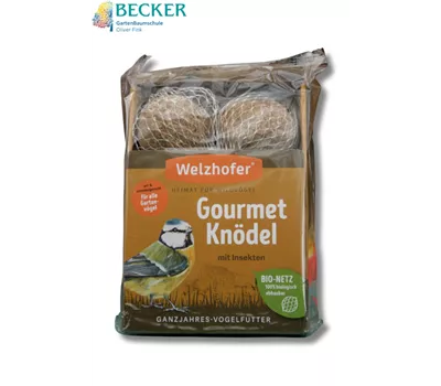 Gourmetknödel "mit Insekten"