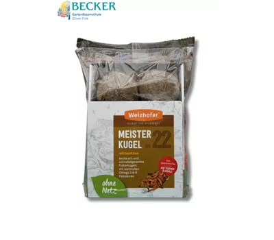 Meisterkugel Nr. 22 "mit Insekten"