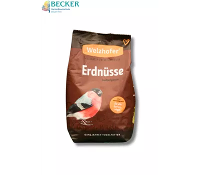 Erdnüsse halbe/ganze