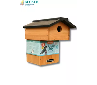 Nistkasten Toby
