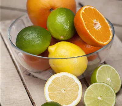 Citrus in Sorten CAC
