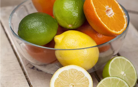 Citrus in Sorten CAC