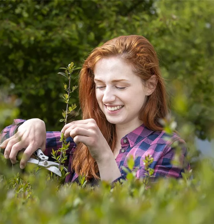 Samstag, 21.03.2026 14.30 - 17.00 Uhr