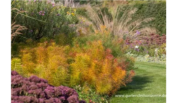 Gartenbaumschule Becker
