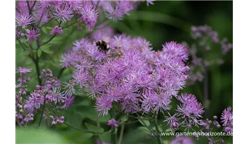 Gartenbaumschule Becker