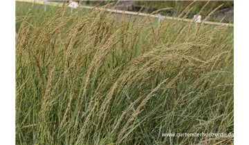Gartenbaumschule Becker
