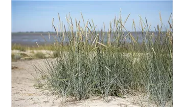 Gartenbaumschule Becker