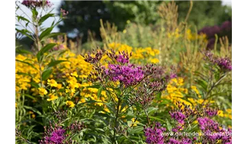 Gartenbaumschule Becker