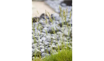 Gartenbaumschule Becker