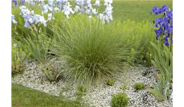 Gartenbaumschule Becker